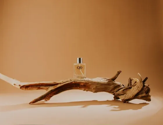 Shishe parfumi mbi një degë druri, në studio fotografike